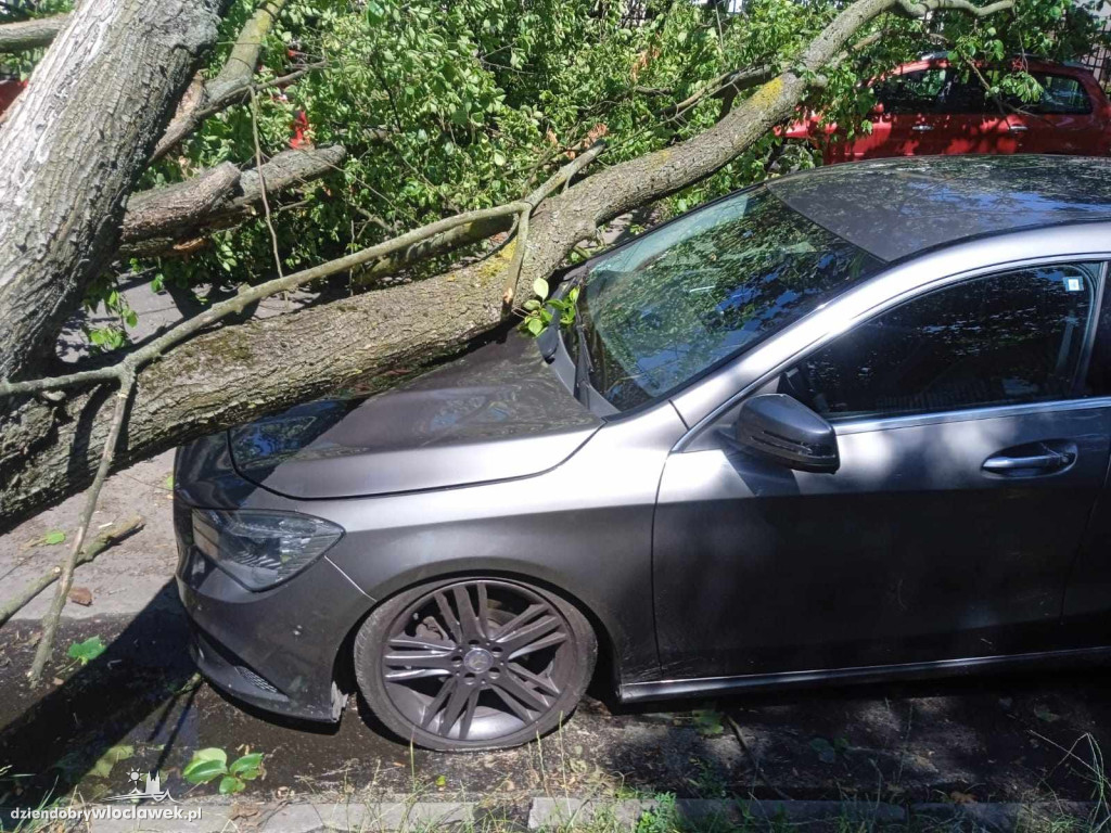 Drzewo przewróciło się na cztery samochody
