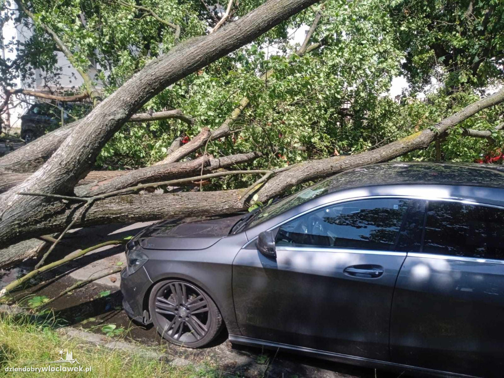 Drzewo przewróciło się na cztery samochody