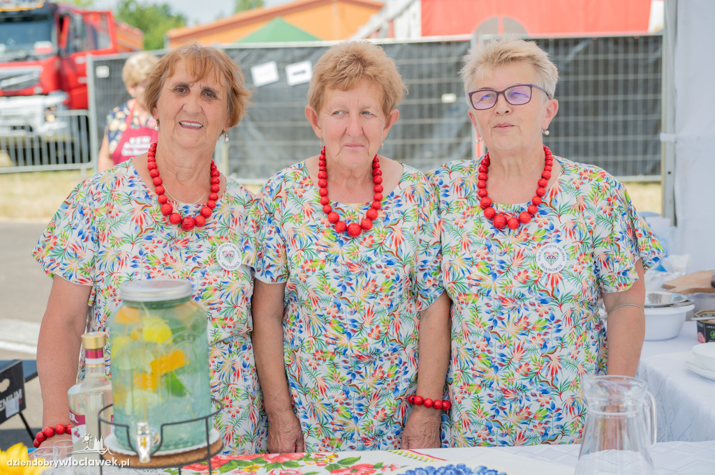Święto Powiatu Włocławskiego na lotnisku w Kruszynie