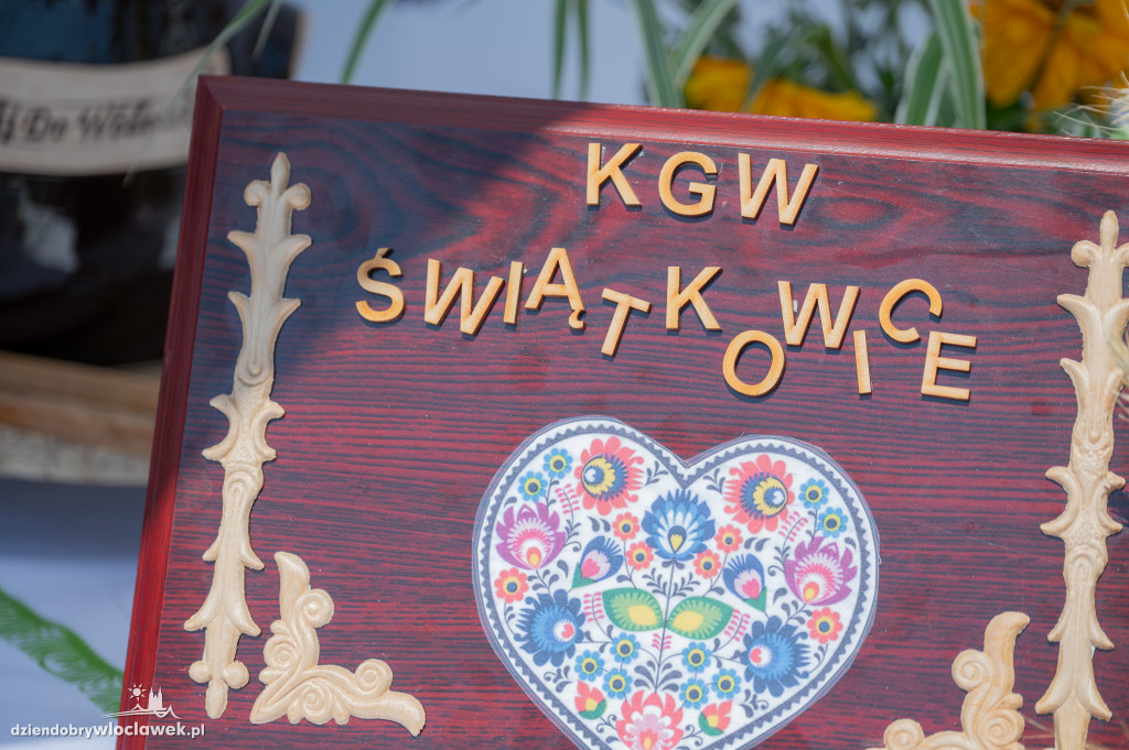 Święto Powiatu Włocławskiego na lotnisku w Kruszynie