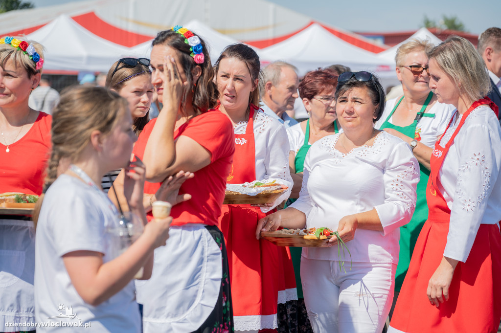 Święto Powiatu Włocławskiego na lotnisku w Kruszynie