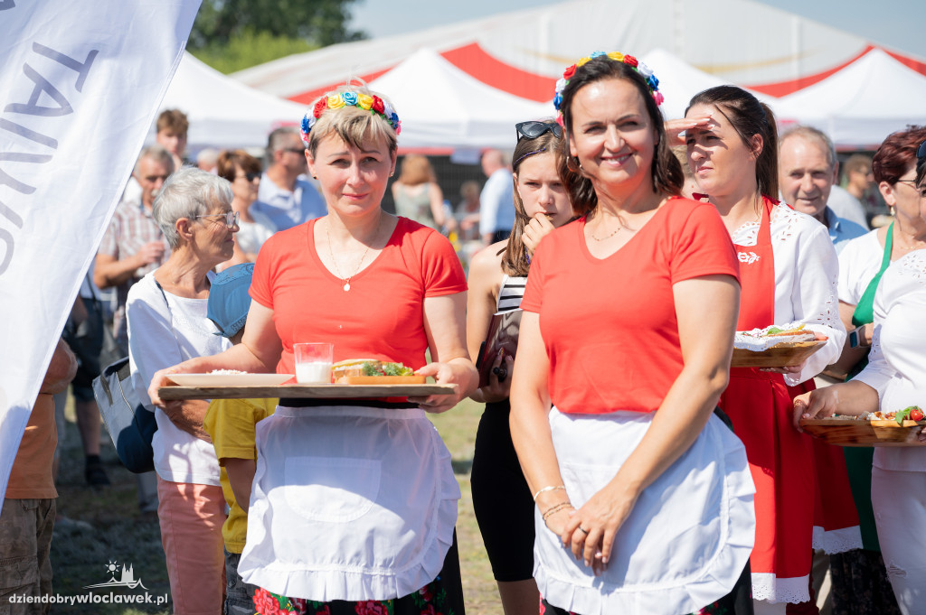 Święto Powiatu Włocławskiego na lotnisku w Kruszynie