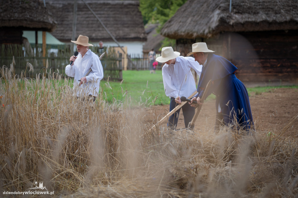 Festyn Folklorystyczny 