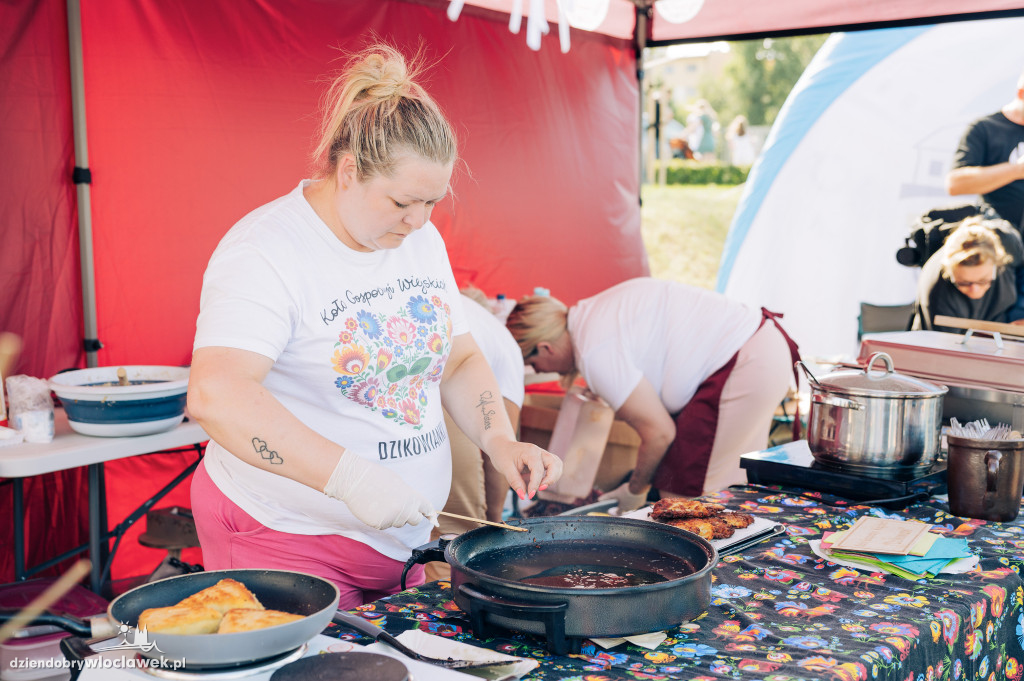 Festiwal Wisły 2023: Parada statków i łodzi