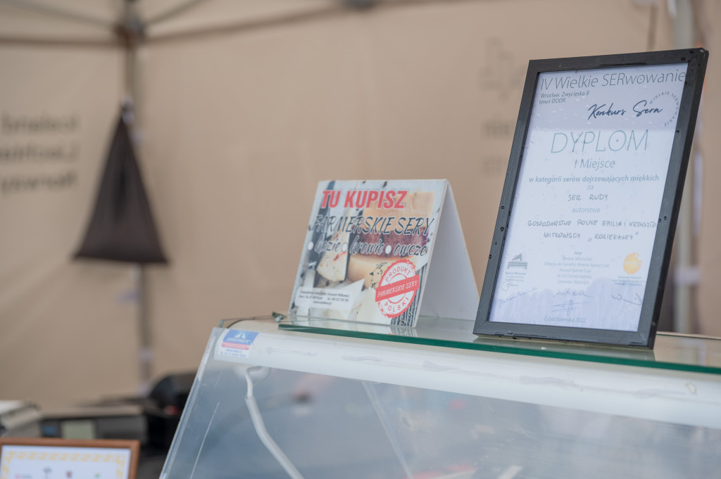 Zielony Festiwal