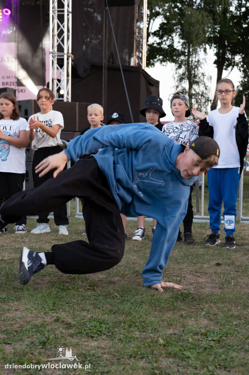 Koncert Alicji Deickiej na dożynkach w Brześciu Kujawskim