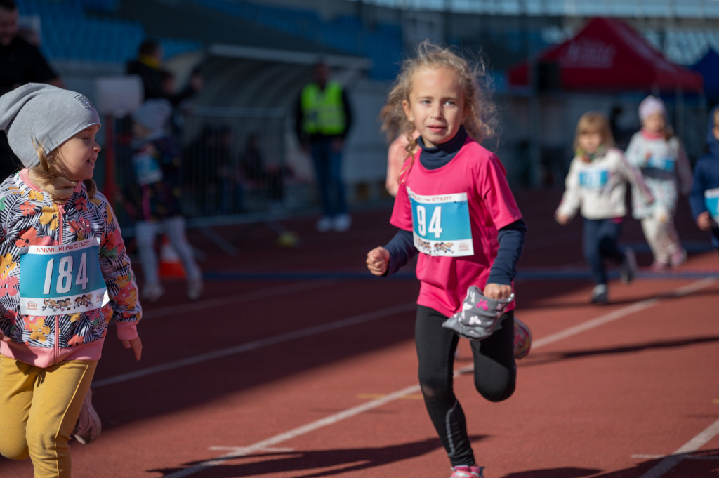 10. ANWIL Półmaraton Włocławek najmłodsi biegacze