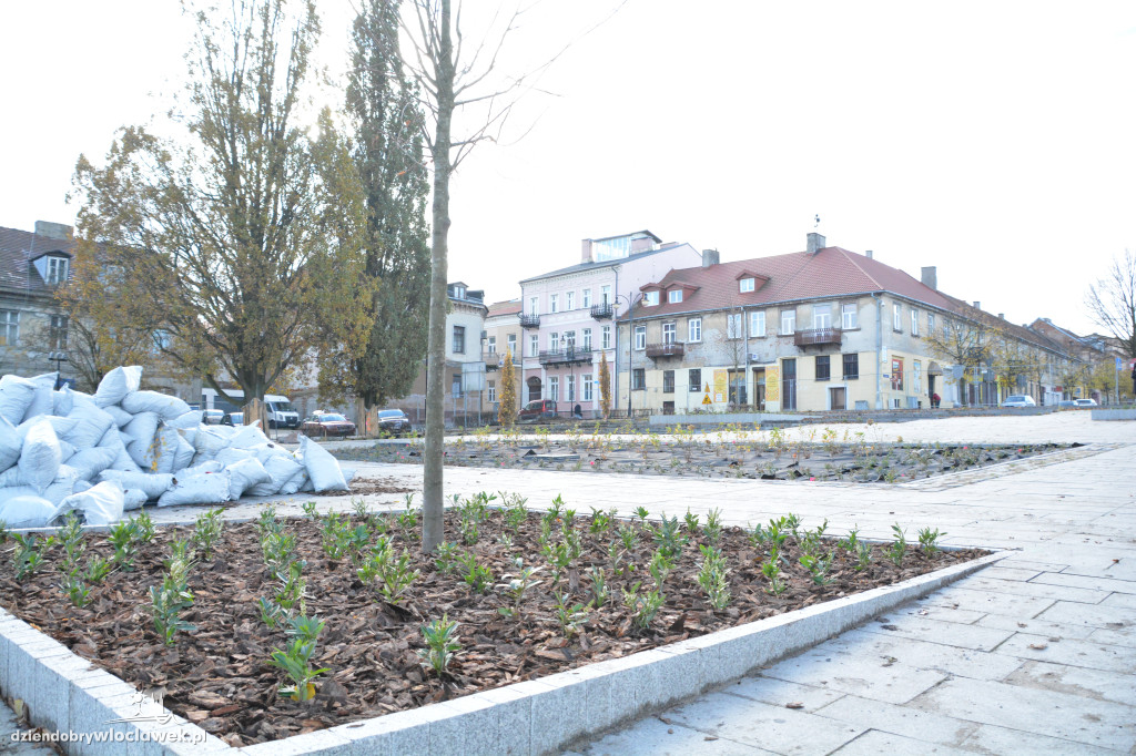 Stary Rynek z nową zielenią