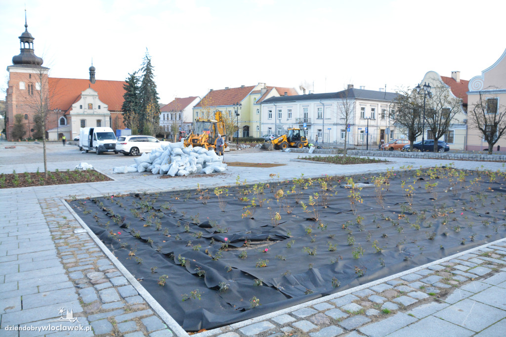 Stary Rynek z nową zielenią