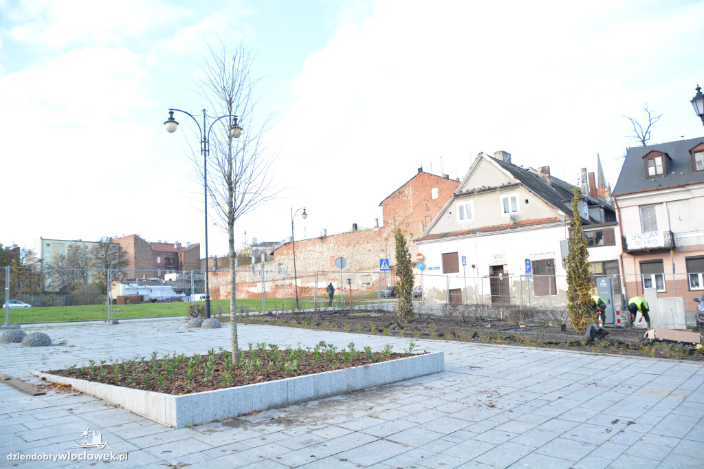 Stary Rynek z nową zielenią