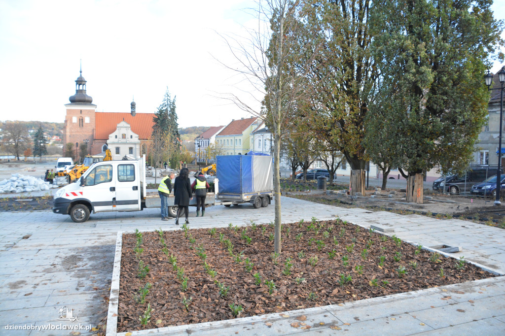 Stary Rynek z nową zielenią