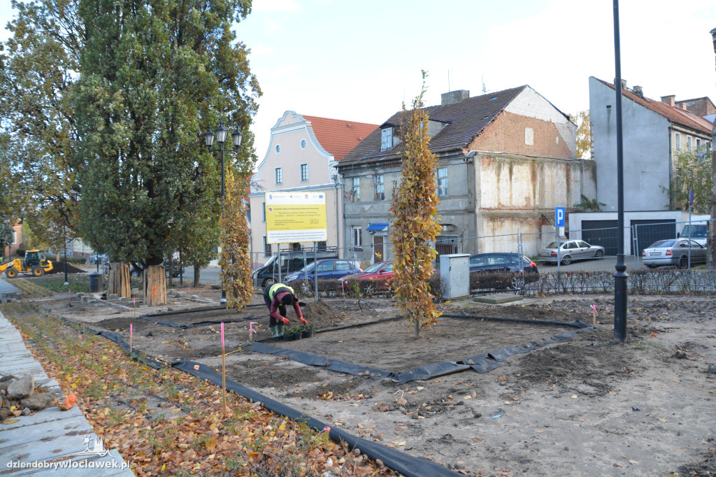 Stary Rynek z nową zielenią
