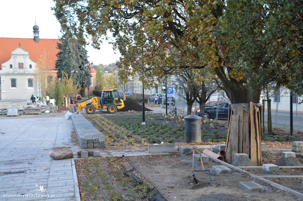 Stary Rynek z nową zielenią