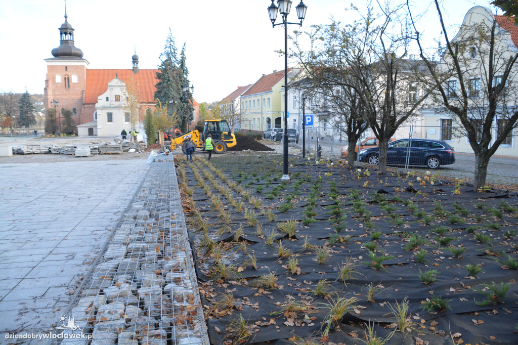 Stary Rynek z nową zielenią