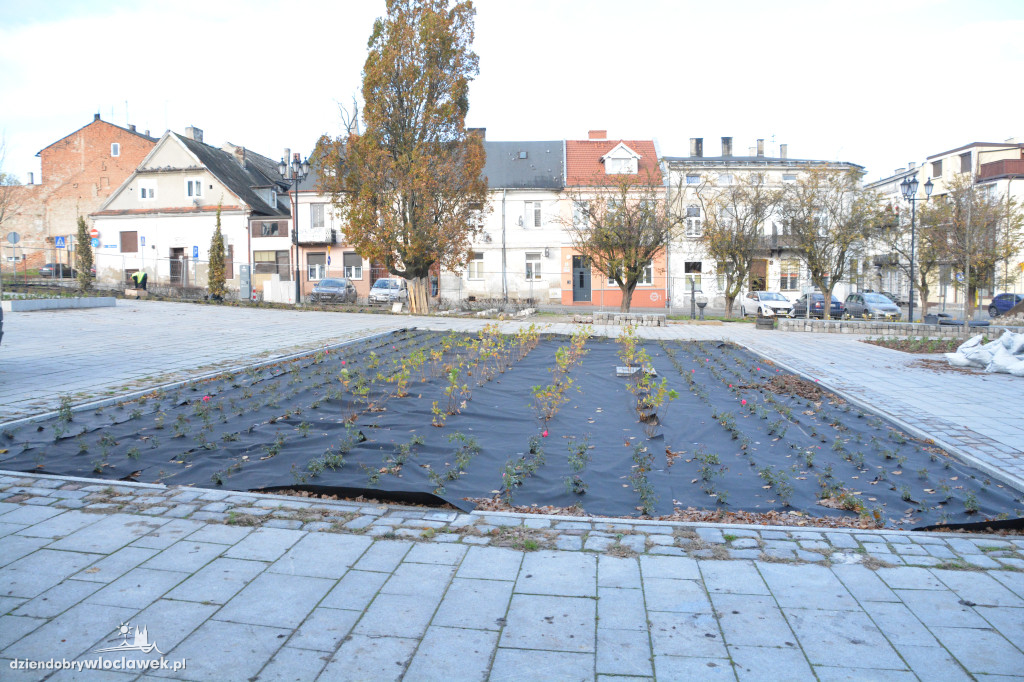 Stary Rynek z nową zielenią