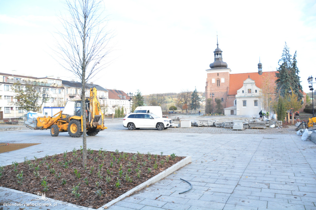 Stary Rynek z nową zielenią