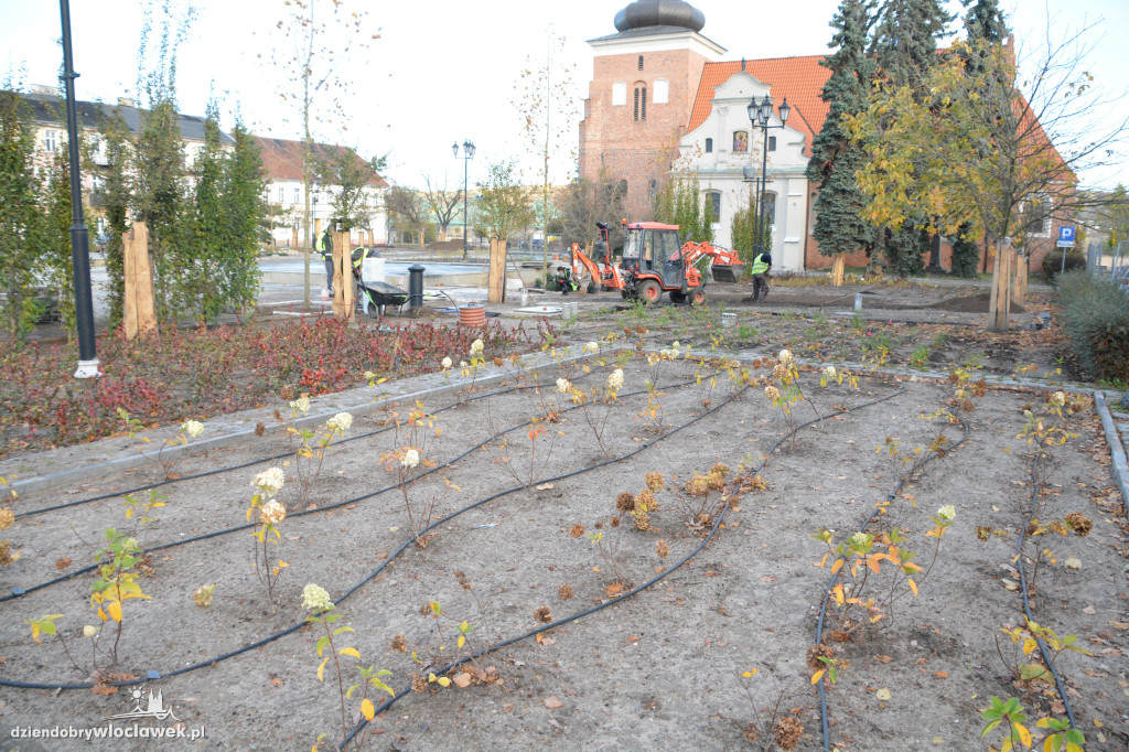 Stary Rynek z nową zielenią