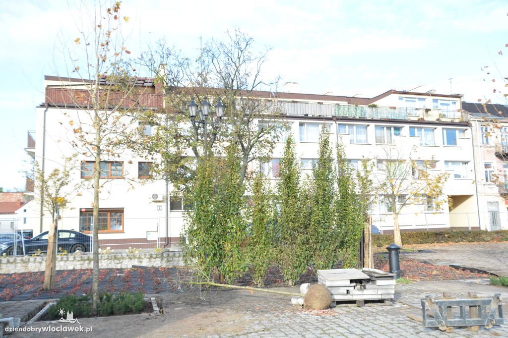 Stary Rynek z nową zielenią