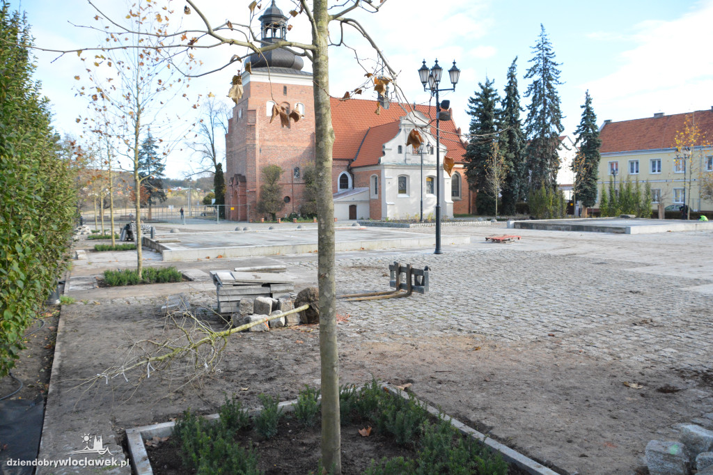 Stary Rynek z nową zielenią