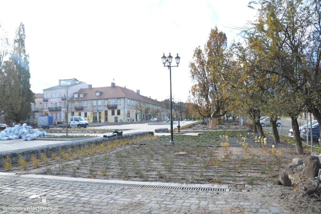 Stary Rynek z nową zielenią