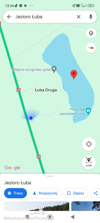 Wycinają las w pobliżu Łuby