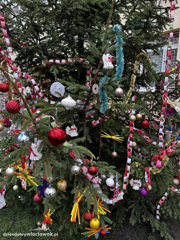 Ubieranie choinki w Szkole Podstawowej nr 3