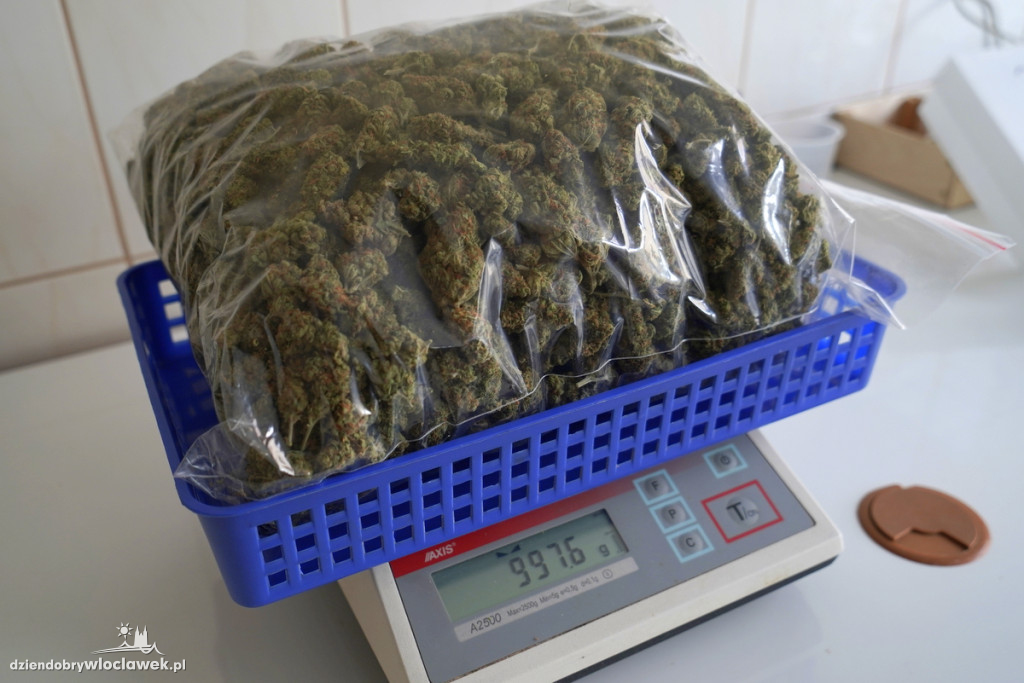 6kg marihuany na A1