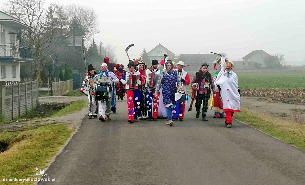 Koza pod Włocławkiem