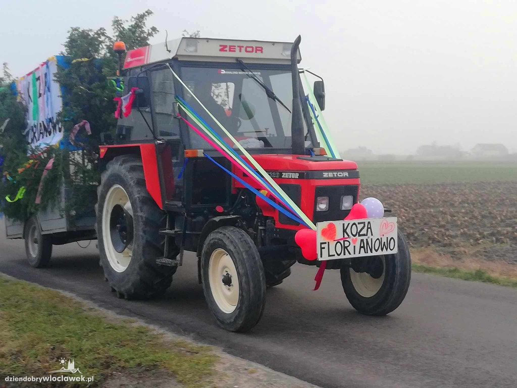 Koza pod Włocławkiem