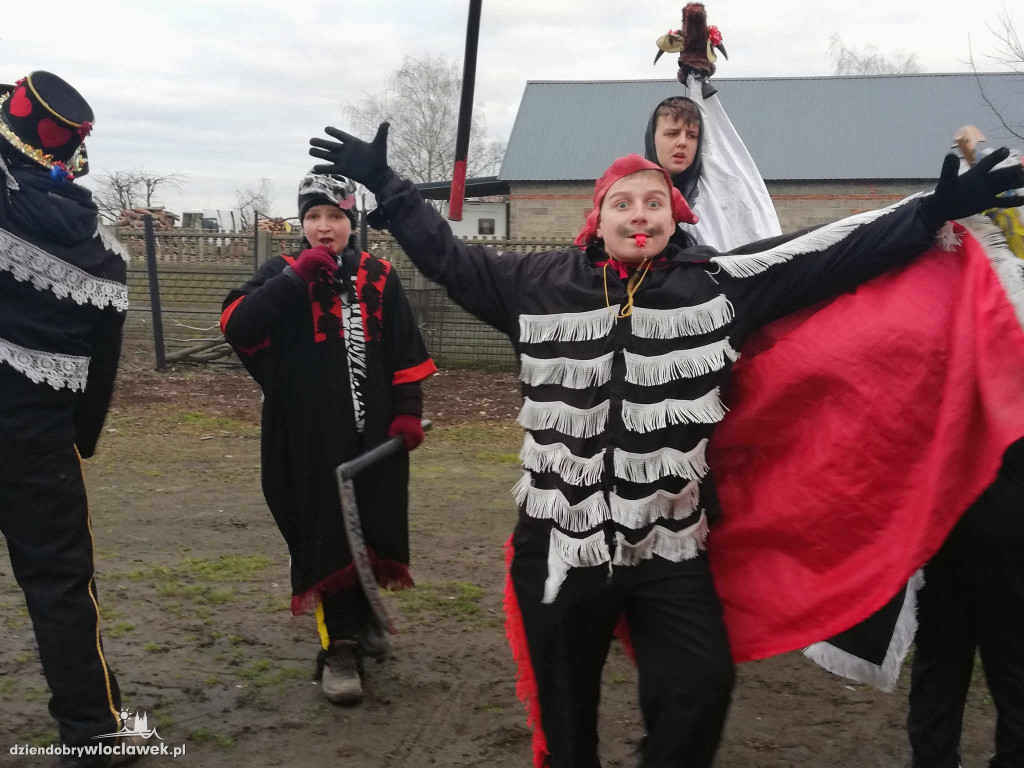 Koza pod Włocławkiem