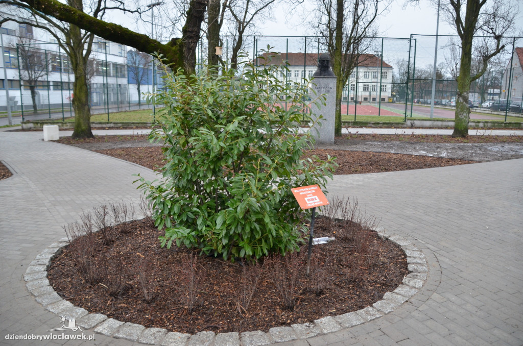 Plac Staszica po rewitalizacji