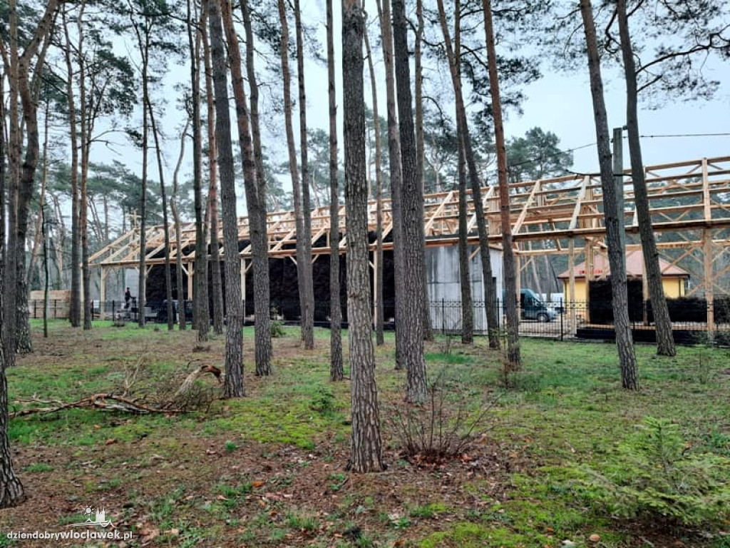 W Wieńcu Zdroju powstają tężnia i amfiteatr