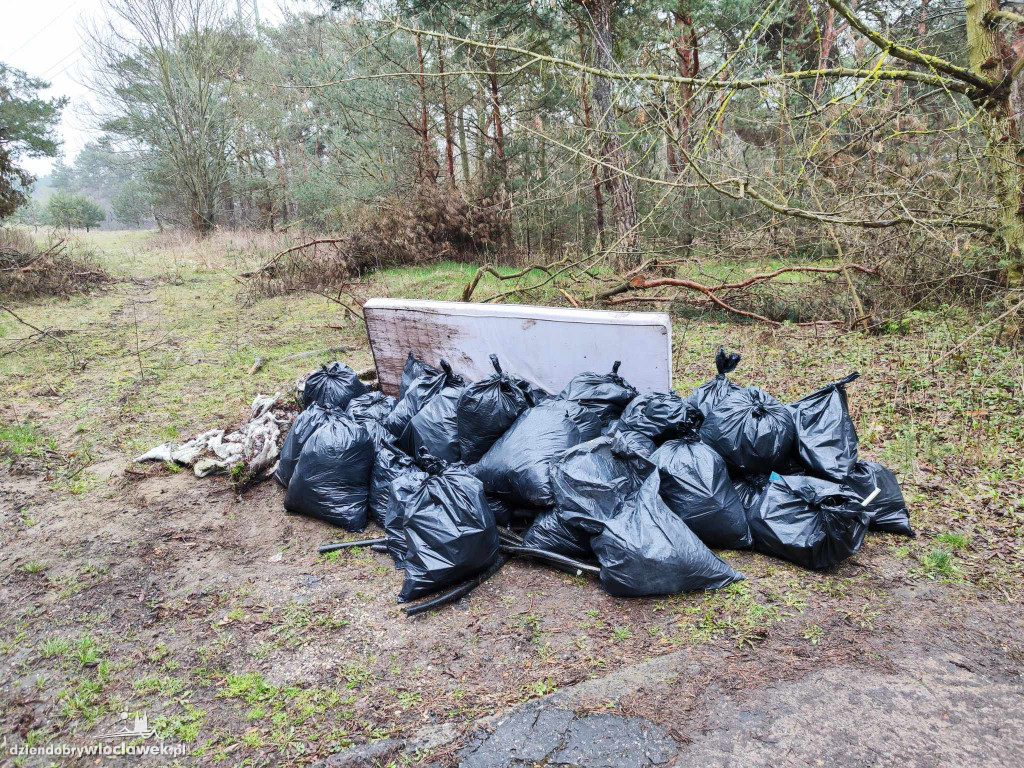Sprzątanie lasu na os. Południe