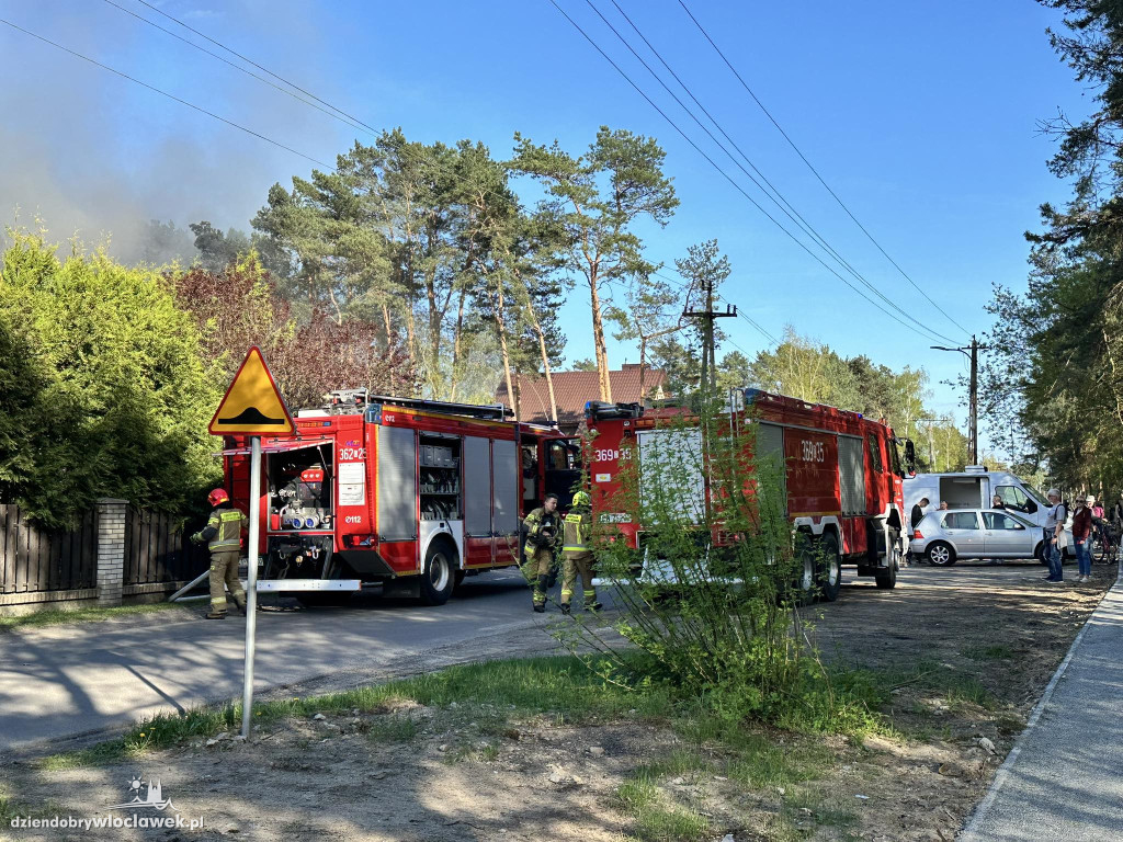 Pożar hurtowni mięsnej na Michelinie