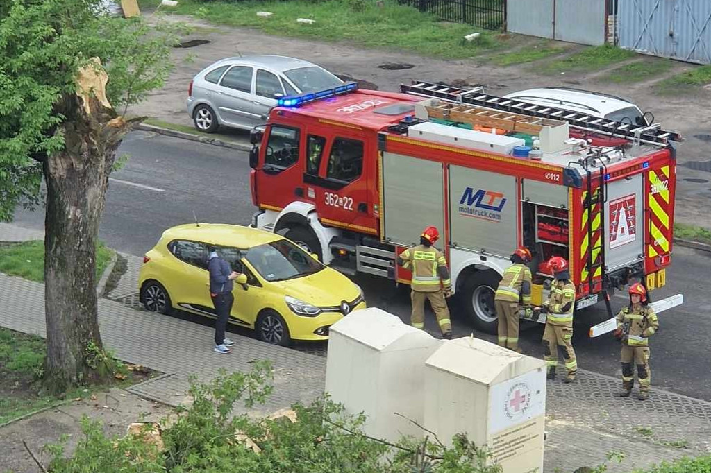 Oberwany konar drzewa uszkodził samochód