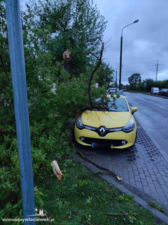 Oberwany konar drzewa uszkodził samochód