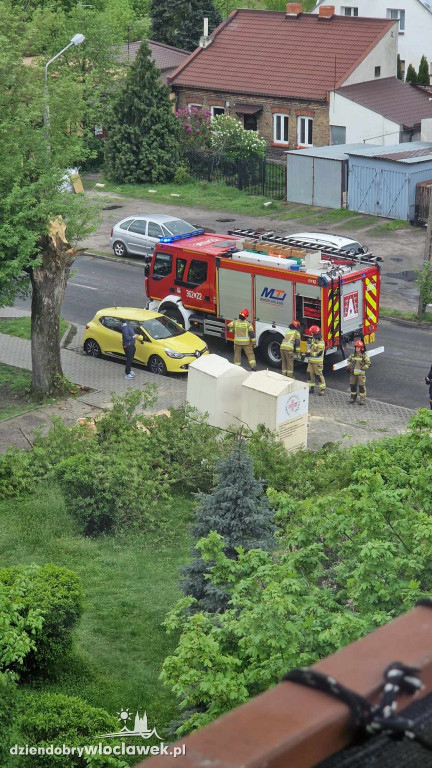 Oberwany konar drzewa uszkodził samochód