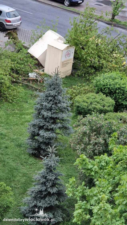 Oberwany konar drzewa uszkodził samochód