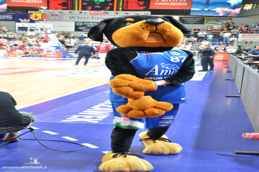 Kibice na meczu nr 2 Anwil vs Spójnia