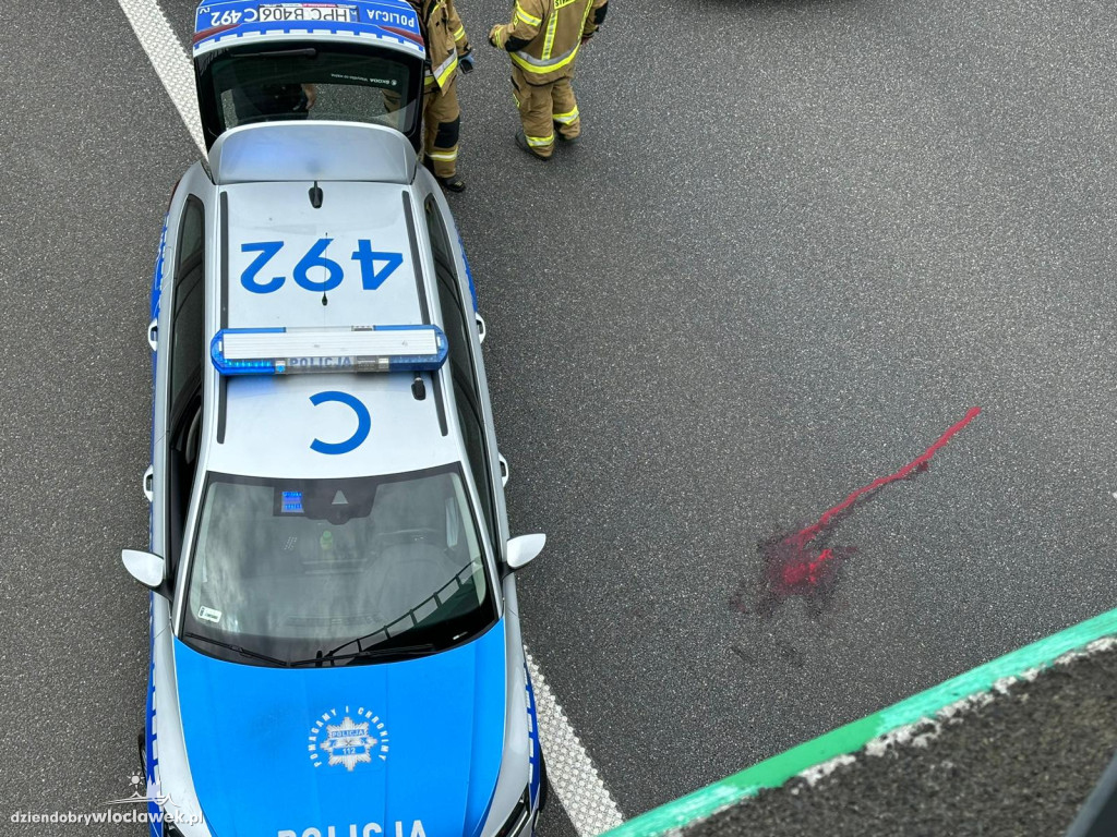 Mężczyzna skoczył z wiaduktu nad A1