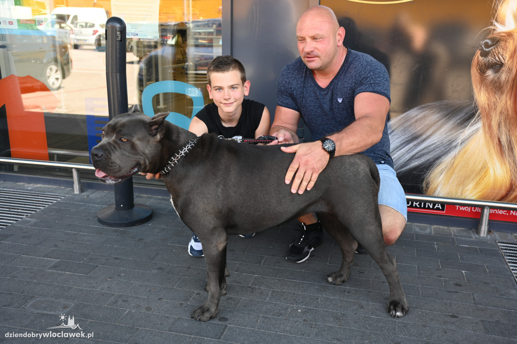 Wręczenie nagród konkursowych w sklepie Animals