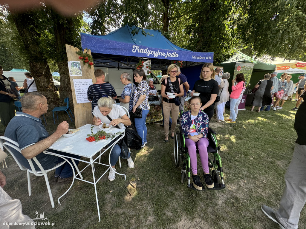 Miodowe Lato w Zarzeczewie 2024
