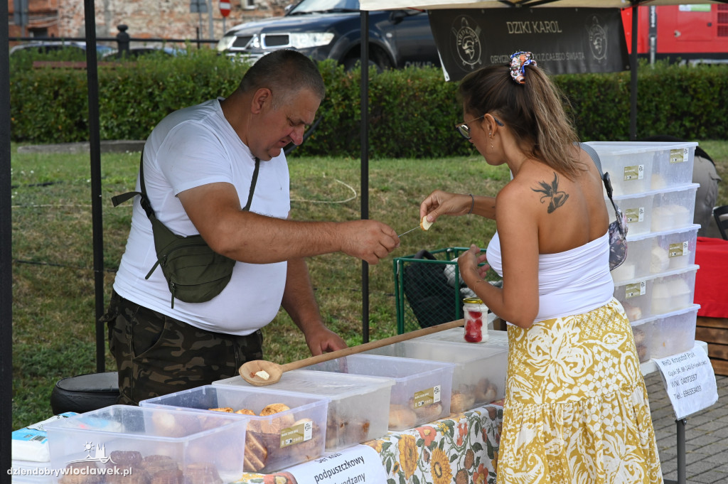 Festiwal Wisły 2024: przystanek Włocławek