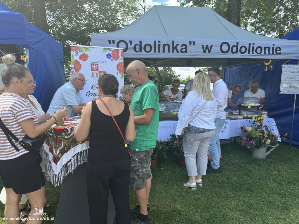 Miodowe Lato w Zarzeczewie 2024