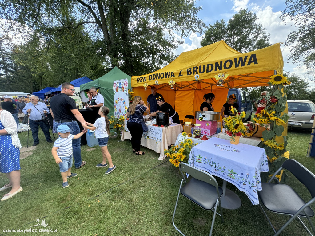 Miodowe Lato w Zarzeczewie 2024