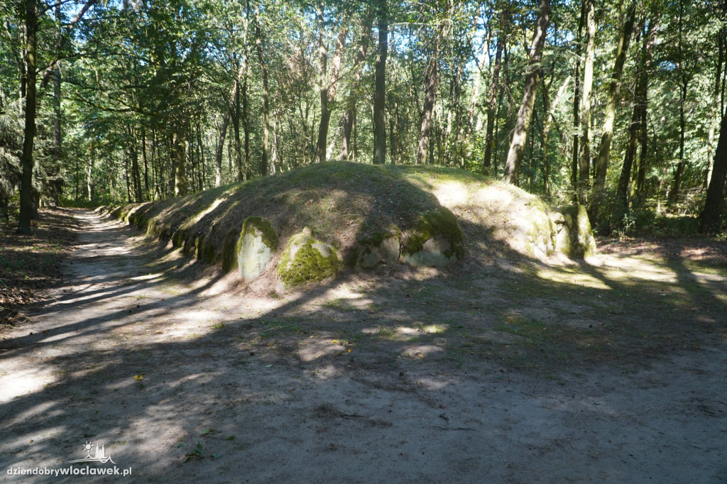 Festyn Archeologiczny w Wietrzychowicach