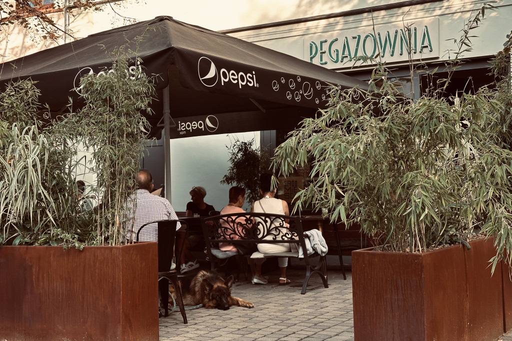 Pegazownia - nowy lokal na 3 Maja