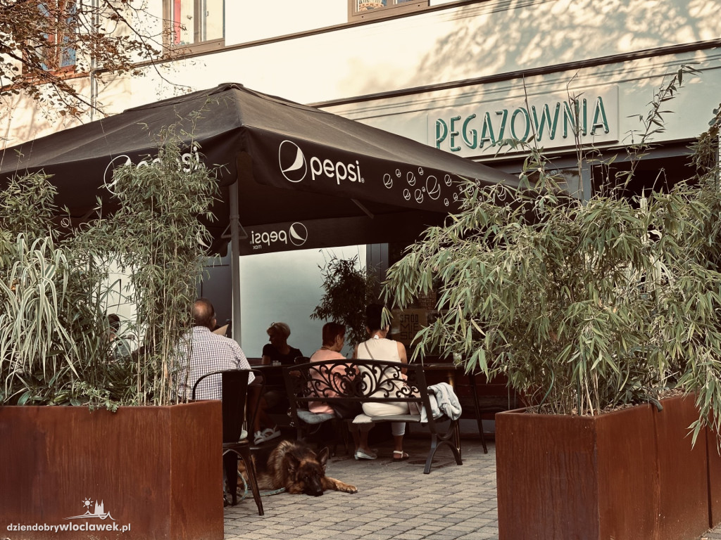 Pegazownia - nowy lokal na 3 Maja