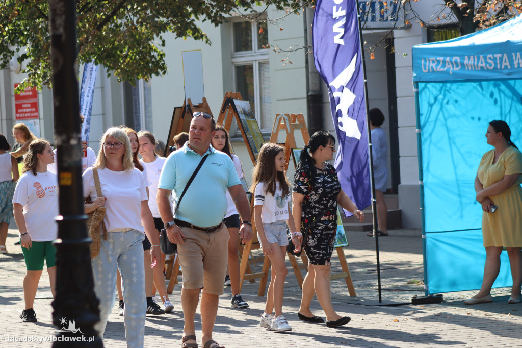 Piknik w Śródmieściu