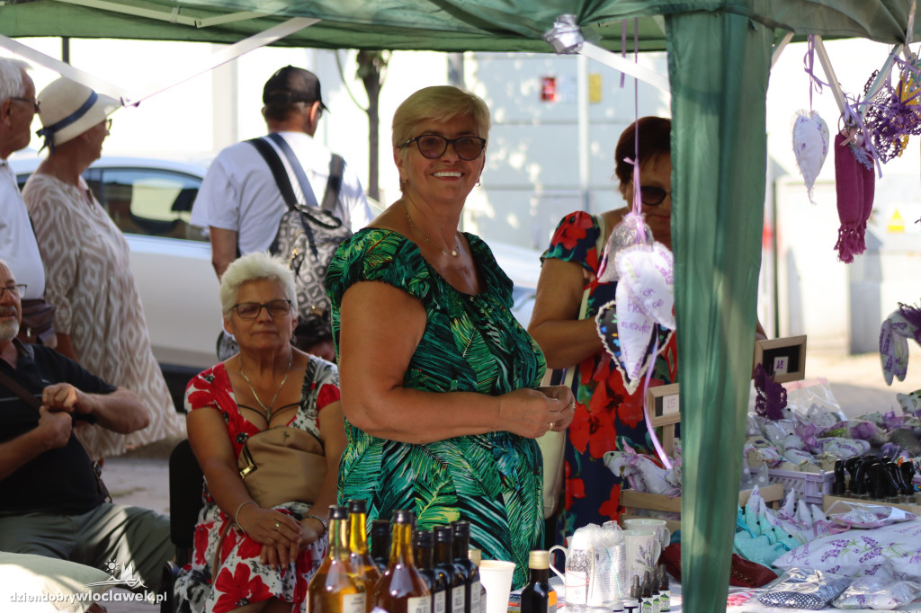 Piknik w Śródmieściu